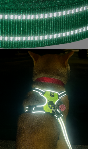 Adjustable Dog Harness